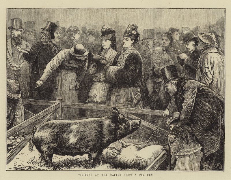 Vierailijat karjanäyttelyssä, possu tekijältä Edward Frederick Brewtnall