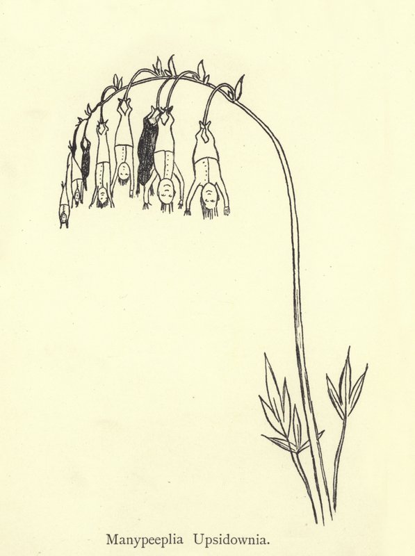 Manypeeplia Upsidownia tekijältä Edward Lear