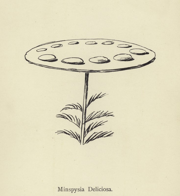 Herkullinen Minspysia tekijältä Edward Lear