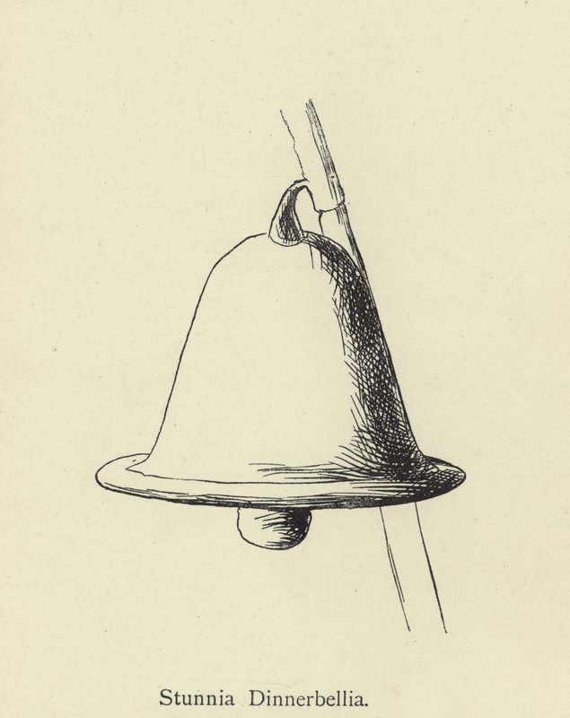 Stunnia Dinnerbellia tekijältä Edward Lear