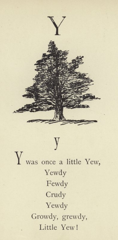 Y-kirjain tekijältä Edward Lear