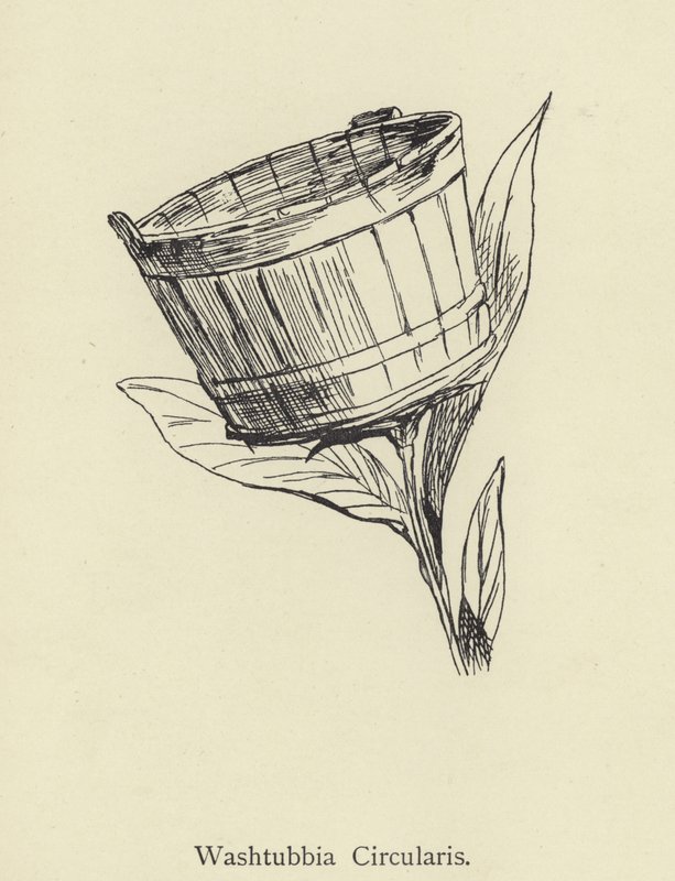 Wastubbia Pyöreä tekijältä Edward Lear