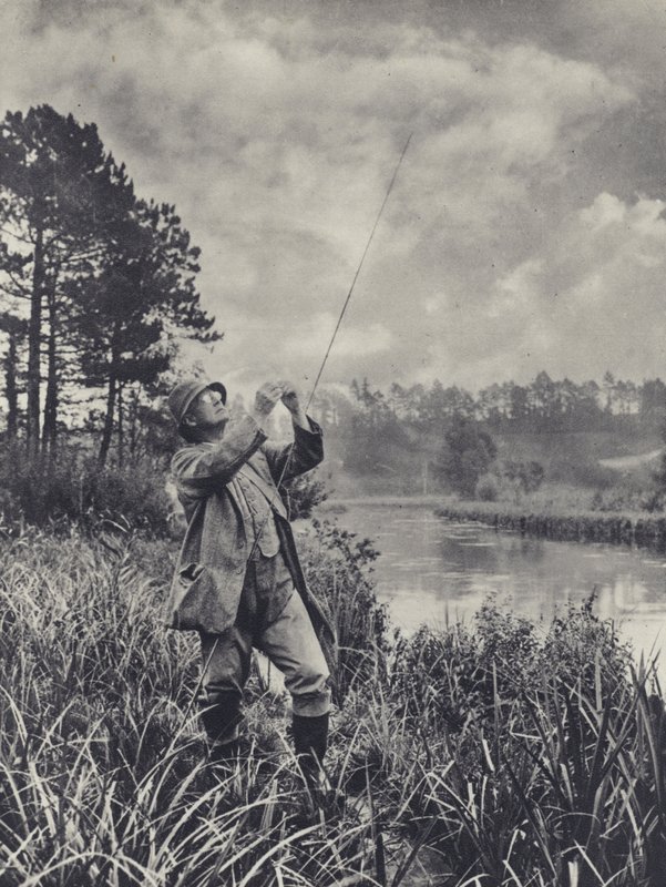 Solmussa oleva kohta (s/w-kuva) tekijältä Edward Alfred Barton