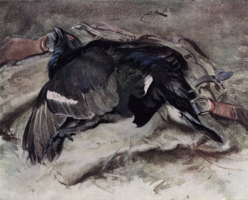 Teerikukko tekijältä Edwin John Alexander