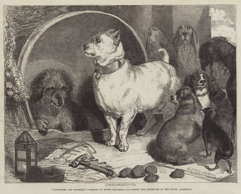 Aleksanteri ja Diogenes tekijältä Edwin Landseer