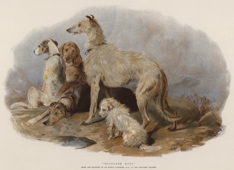 Highland Dogs (chromolitho) tekijältä Edwin Landseer