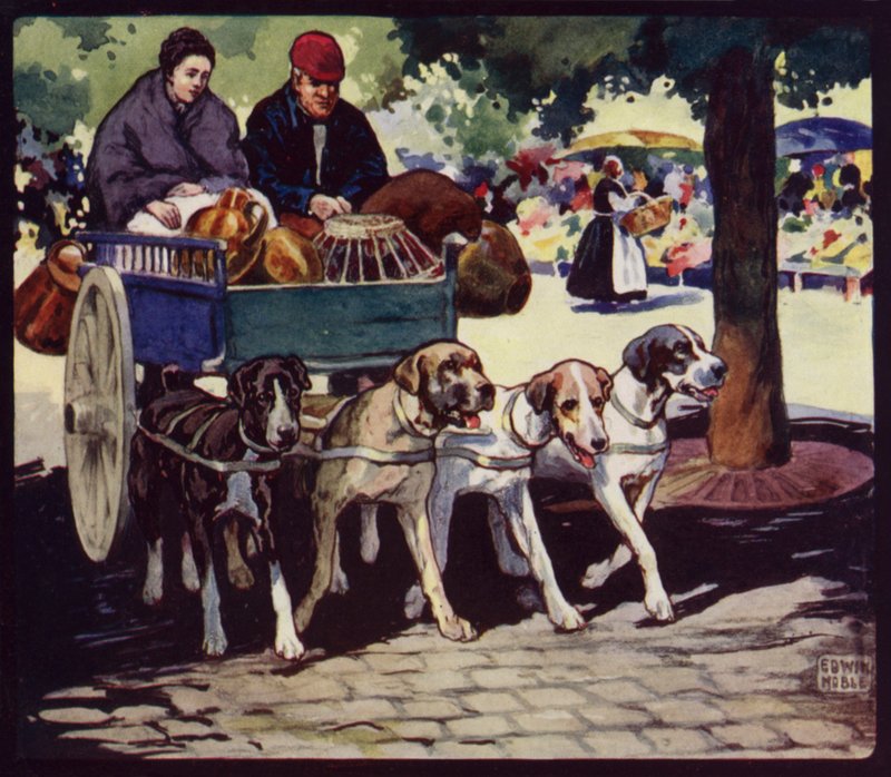 Ranskalainen koirakärry (väri litho) tekijältä Edwin Noble