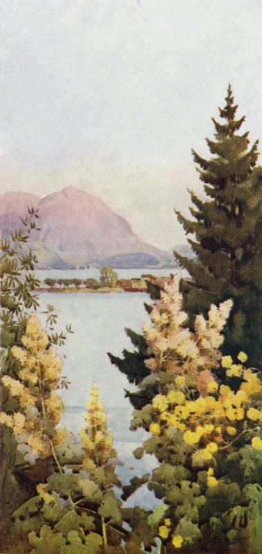 Puutarha (väri litho) tekijältä Ella Du Cane