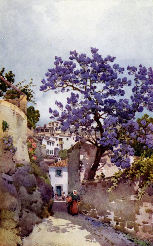 Jacaranda Tree (väri litho) tekijältä Ella Du Cane