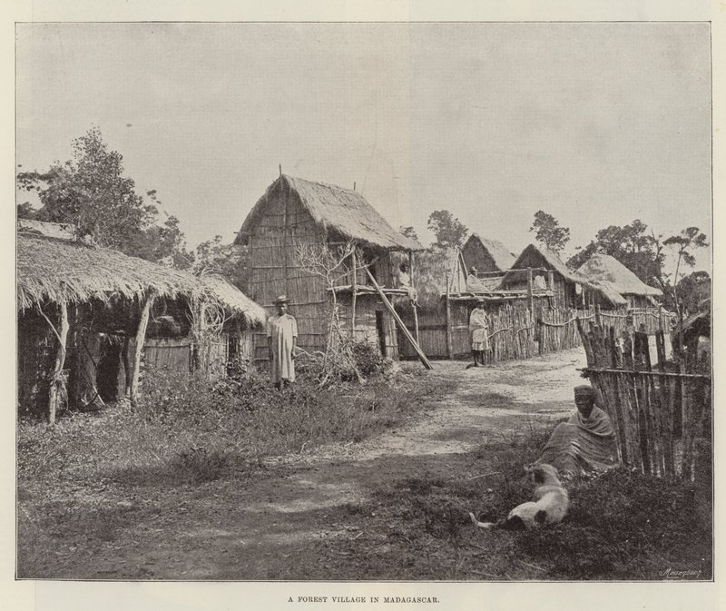 Metsäkylä Madagaskarilla tekijältä English Photographer