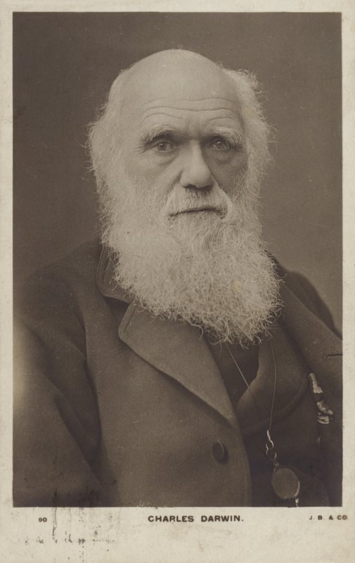 Charles Darwin (1809-1882), englantilainen luonnontieteilijä tekijältä English Photographer