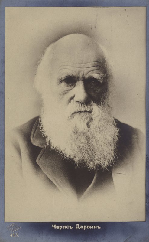 Charles Darwin (1809-1882), englantilainen luonnontieteilijä tekijältä English Photographer
