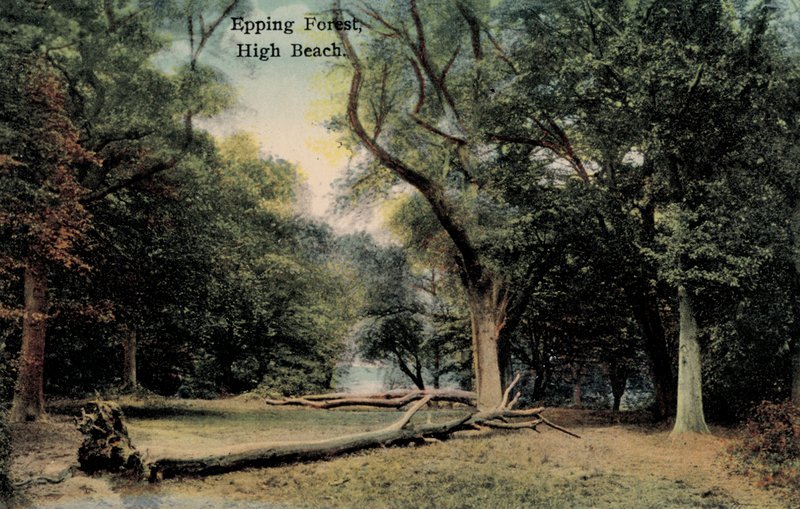 Epping Forest, High Beach (kuva) tekijältä English Photographer