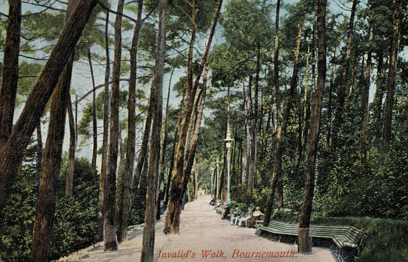 Invalids Walk, Bournemouth (kuva) tekijältä English Photographer