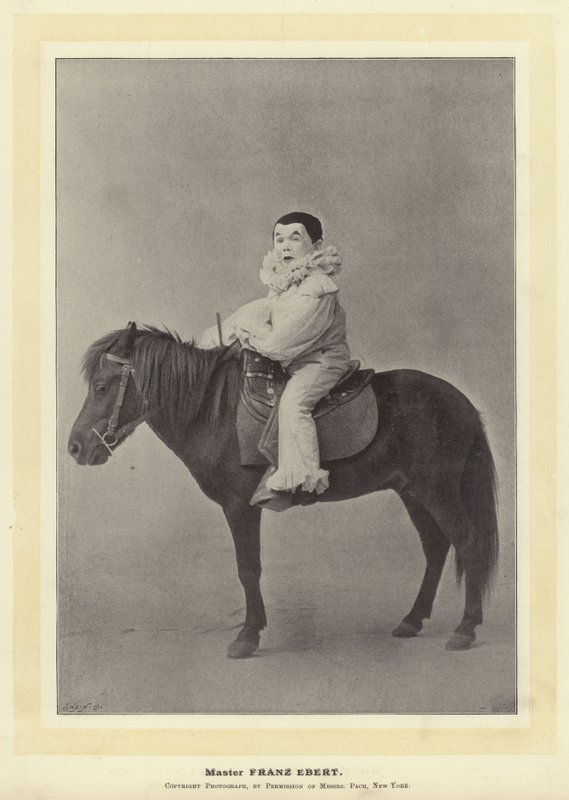 Mestari Franz Ebert tekijältä English Photographer