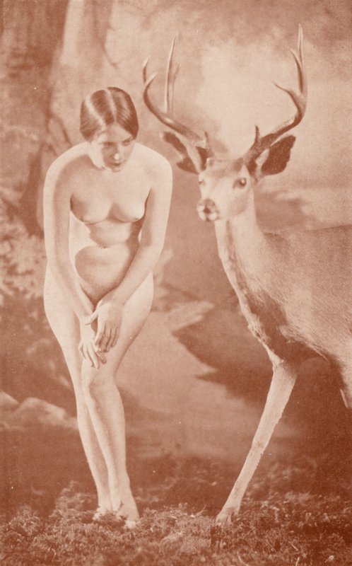 Nudistista taidetta: Metsäidylli (s/w valokuva) tekijältä English Photographer