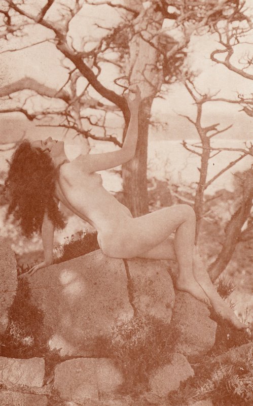 Nudistista taidetta: Tanglewood (s/w-kuva) tekijältä English Photographer