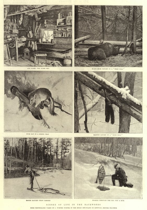 Elämän kohtauksia takametsissä tekijältä English Photographer