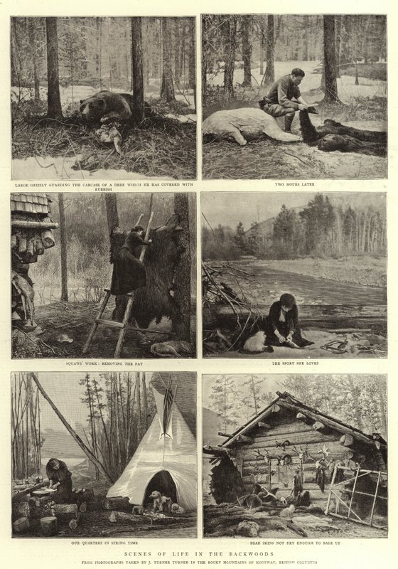 Elämän kohtauksia takametsissä tekijältä English Photographer