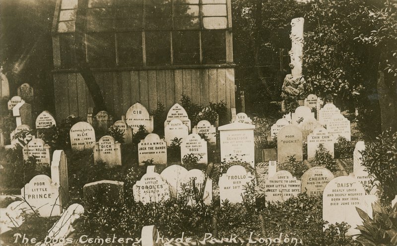 The Dogs Cemetery, Hyde Park, Lontoo tekijältä English Photographer