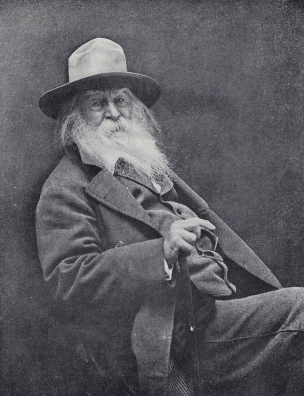 Walt Whitman (m/w kuva) tekijältä English Photographer