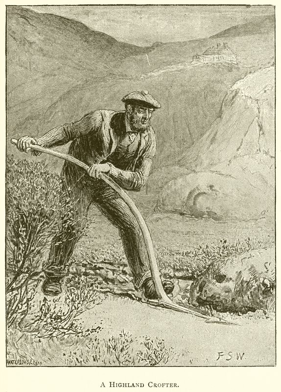 Highland Crofter tekijältä English School