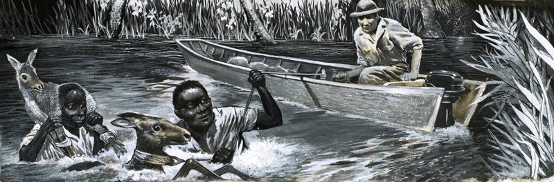 Afrikkalaiset pelastavat eläimiä tekijältä English School