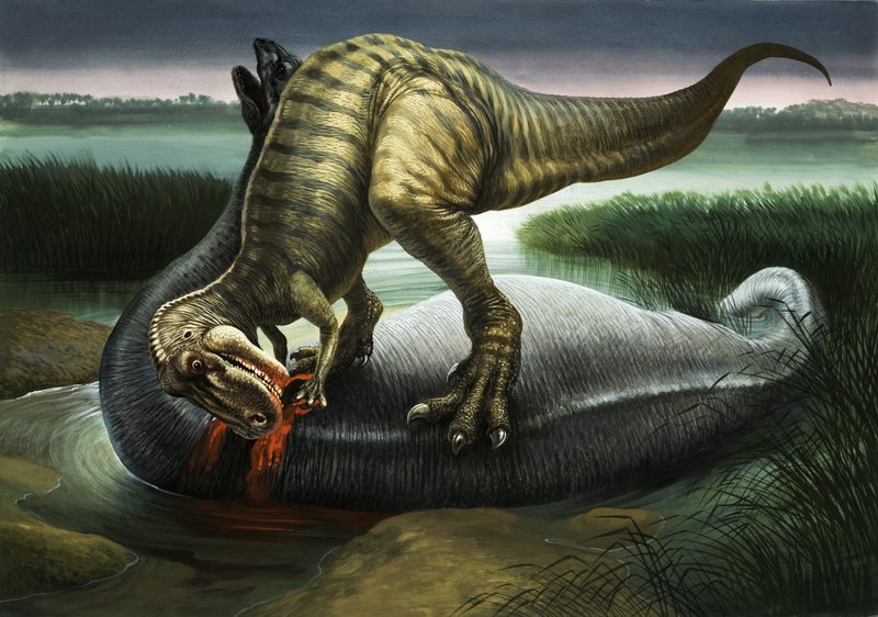 Allosaurus syö Apatosaurusta tekijältä English School