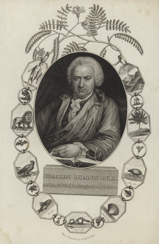 Charles Bonnet tekijältä English School
