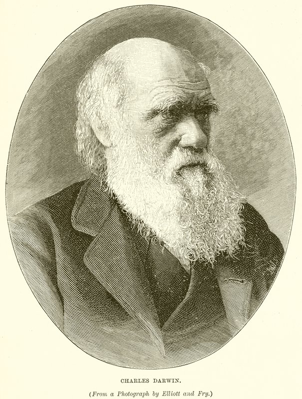 Charles darwin tekijältä English School
