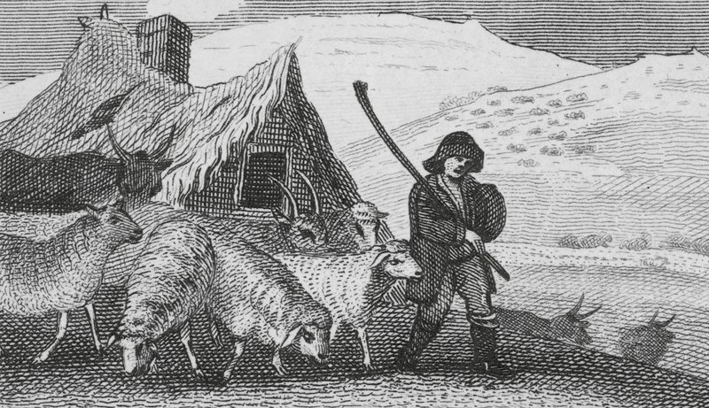 Cheviot Shepherds (kaiverrus) tekijältä English School