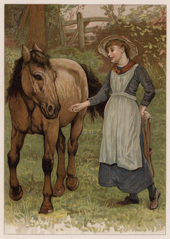 Clever Dobbin (chromolitho) tekijältä English School