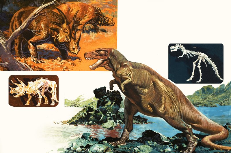 Dinosaurukset ja luurangot. Stegosaurus ja Tyrannosaurus tekijältä English School