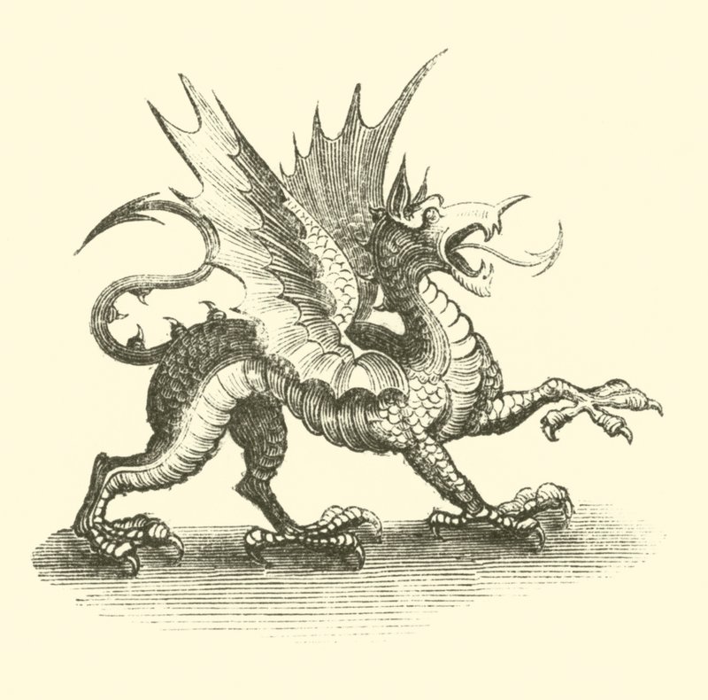 Dragon (kaiverrus) tekijältä English School