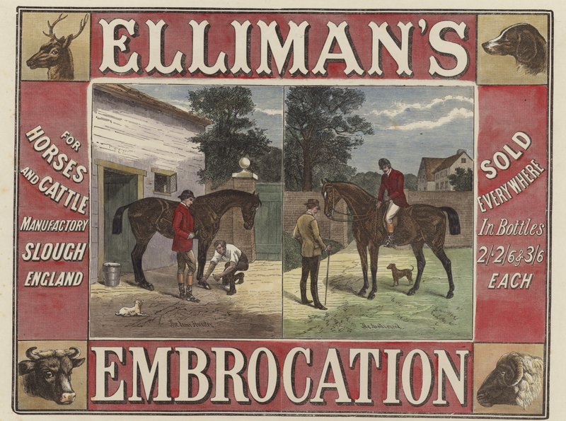 Ellimans Embrocation tekijältä English School