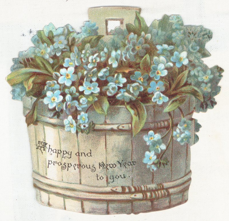 Forget-Me-Nots in Planter, uudenvuoden kortti tekijältä English School