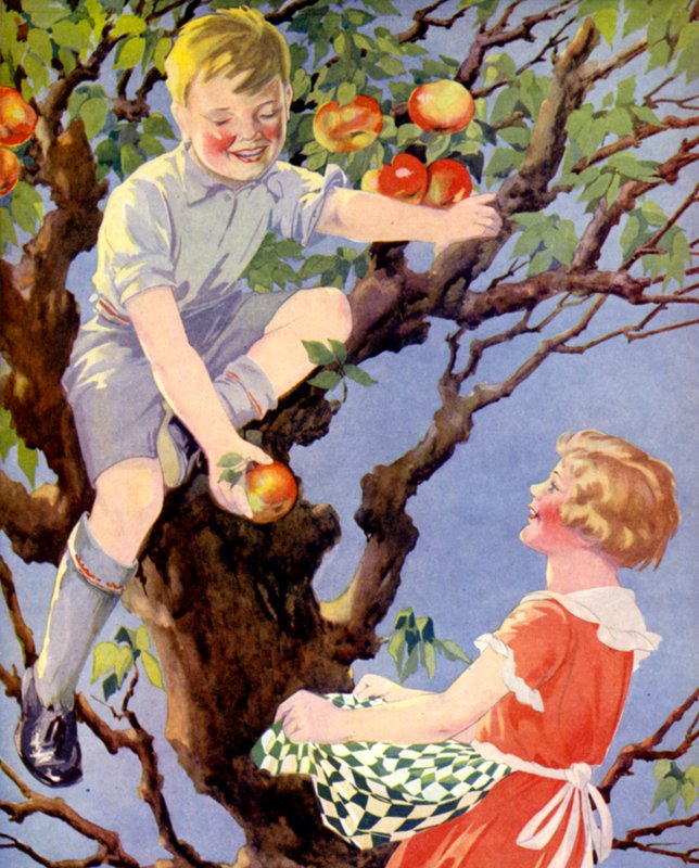 Omenasadon kerääminen (väri litho) tekijältä English School