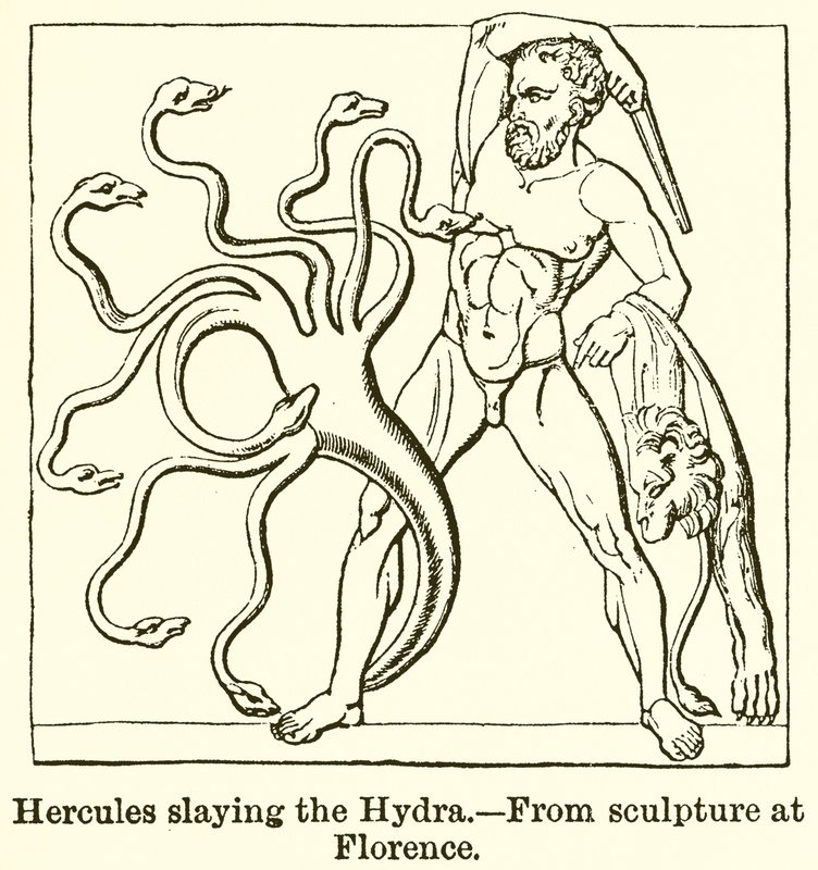 Hercules tappaa hydran tekijältä English School