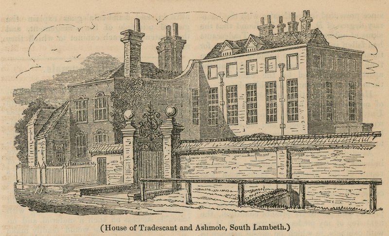 House of Tradescant ja Ashmole, South Lambeth tekijältä English School