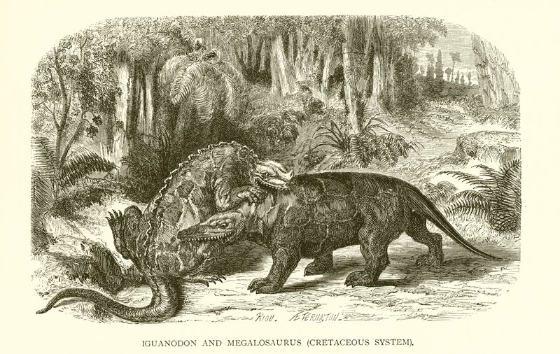 Iguanodon ja Megalosaurus, liitukausijärjestelmä tekijältä English School