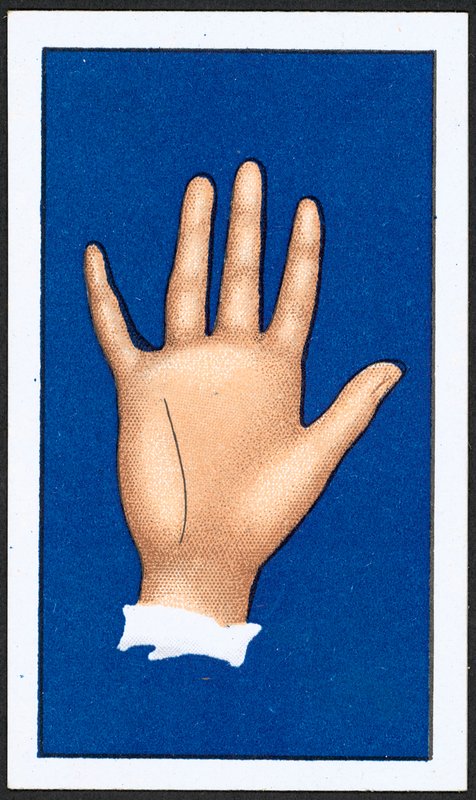 Intuition linja (väri litho) tekijältä English School