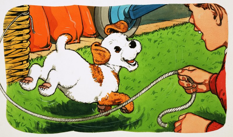 Paddy Paws tekijältä English School