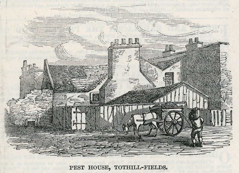 Pest House, Tothill Fields tekijältä English School