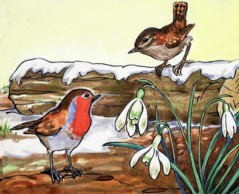 Robin Redbreast ja Jenny Wren tekijältä English School