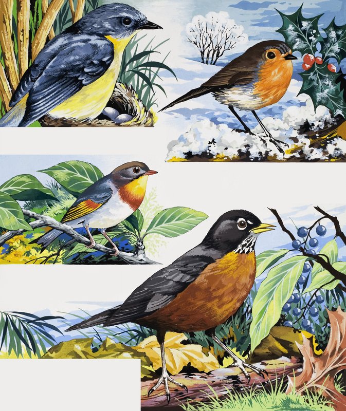 Robins tekijältä English School