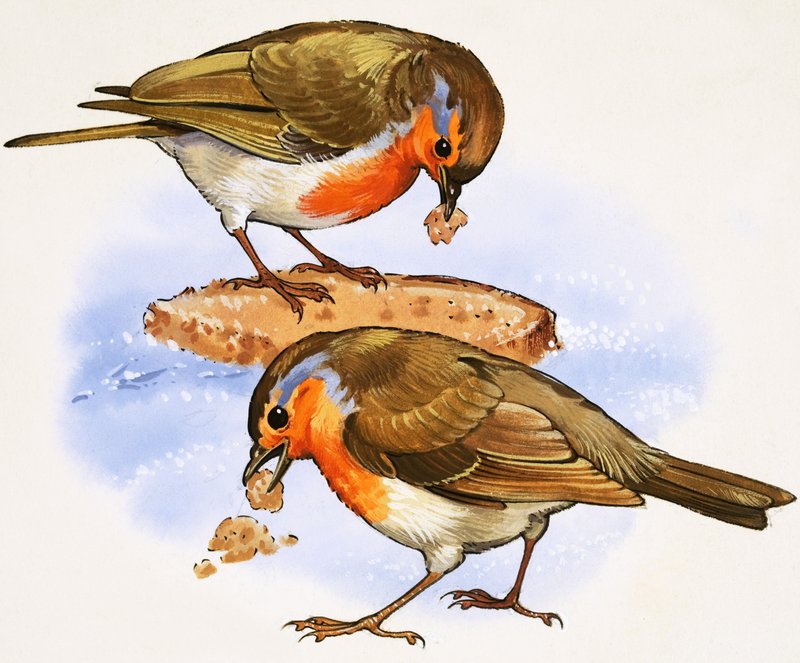 Robins syö palan leipää tekijältä English School