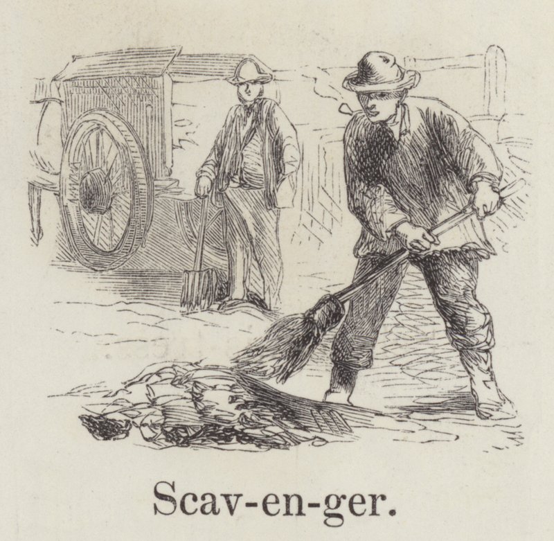 Scavenger (kaiverrus) tekijältä English School