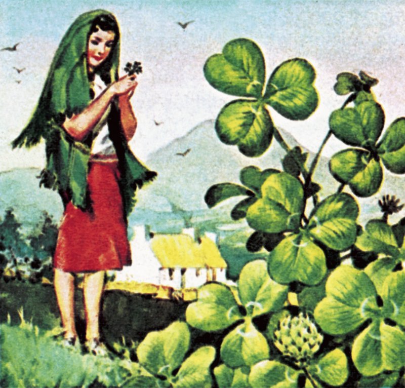 Shamrock tekijältä English School