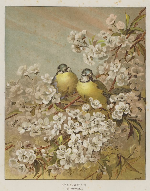 Kevät (chromolitho) tekijältä English School