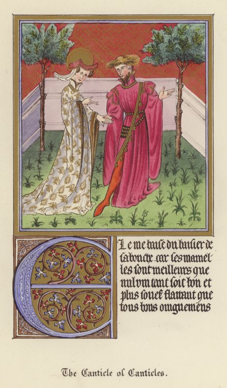 Canticle of Canticles (väri litho) tekijältä English School